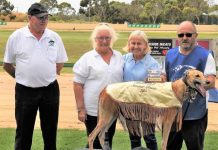 This Summer Classic rocks