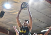 Pioneer on the world stage