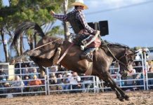 Rodeo fans left entertained in Dartmoor