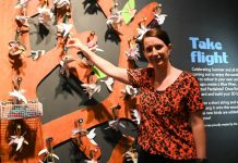 Wonder Room closes on a high note