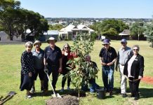 Tree planting for Lions
