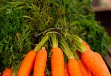 Embracing in-season vegetables