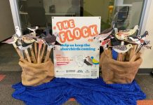 Students flock to bird project