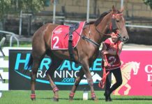 Far more more attractive cup