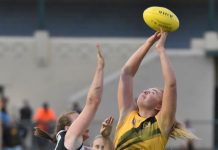 A round under lights