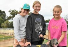 Hazel storms home for first-up win