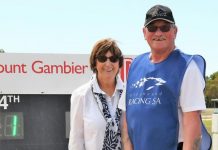 Veteran chasers steal the limelight