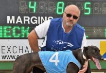 The chase continues for first Mount Gambier Cup success