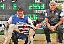 The Mount Gambier Cup: ‘It’s always a good race to be in’