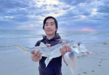 Breezy conditions not a bother