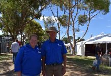 Fun in the sun at Field Days