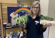 Plants welcome at thrift store