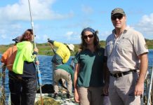 Algae removal closes popular diving spot