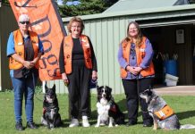 Extra Story Dogs to boost youth literacy
