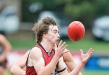 Development at the Kennel