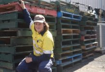 Cats found in industrial area