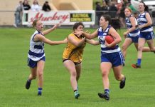 North progresses into decider