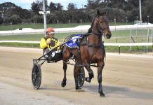 Options open for in-form stayer