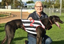 Emphatic victory for Compton Robbie