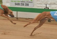 Fast Forward final comes down to a ballot