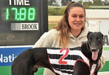 Daniel does it for first-time trainer