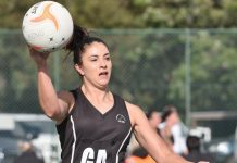 Magpies with dominant display