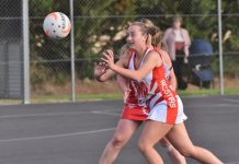 Roosters hold on in thriller