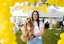 Pooch Party to hit Mount Gambier