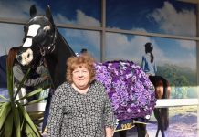 Artwork honours Anzacs