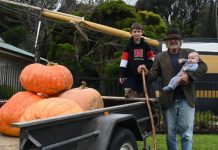 Victory for massive pumpkins