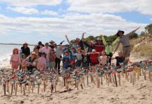 Farewell to shorebirds event wraps up