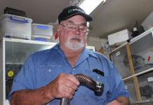 Cold weather reduces snake sightings