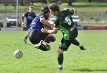 Cup honours for pre-season performers