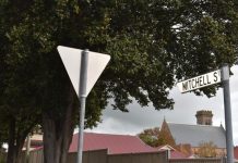 Vic-tree for Mitchell Street resident