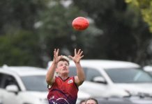 Heavyweights to clash at Vansittart Park