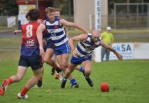 Finals footy the goal for Cats