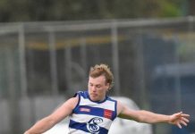 Cats and Dogs go head-to-head