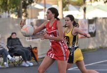 Anzac Day honours on the line