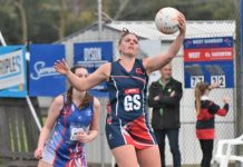 Roos pick up where they left off