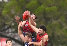 Roos blitz Cats in season-opener
