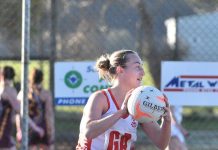 Roosters outclass Hawks