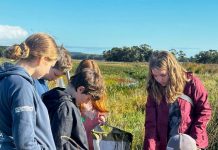 Students camp in swamp