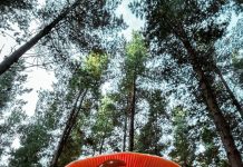 Photo competition winners announced