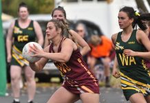 Murphies too good for Mozzies