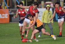 Fresh Roos topple Tigers