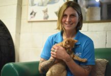 All paws on deck for volunteers