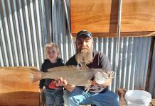 Tuna competition looms