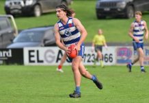 Cat town fortress defended