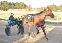 Definitely jumping at Casterton