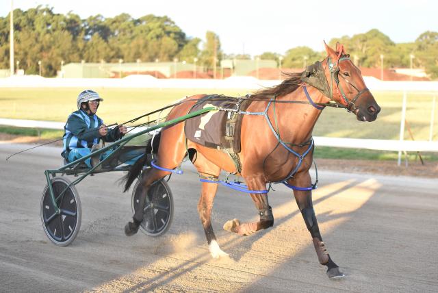 Definitely jumping at Casterton – The Border Watch